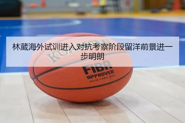林葳海外试训进入对抗考察阶段留洋前景进一步明朗